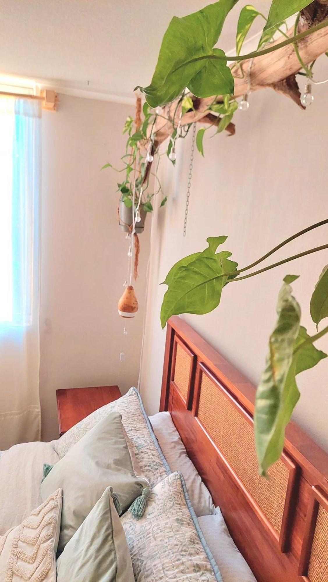 Casanativa Sur Diseno Boho Apartment