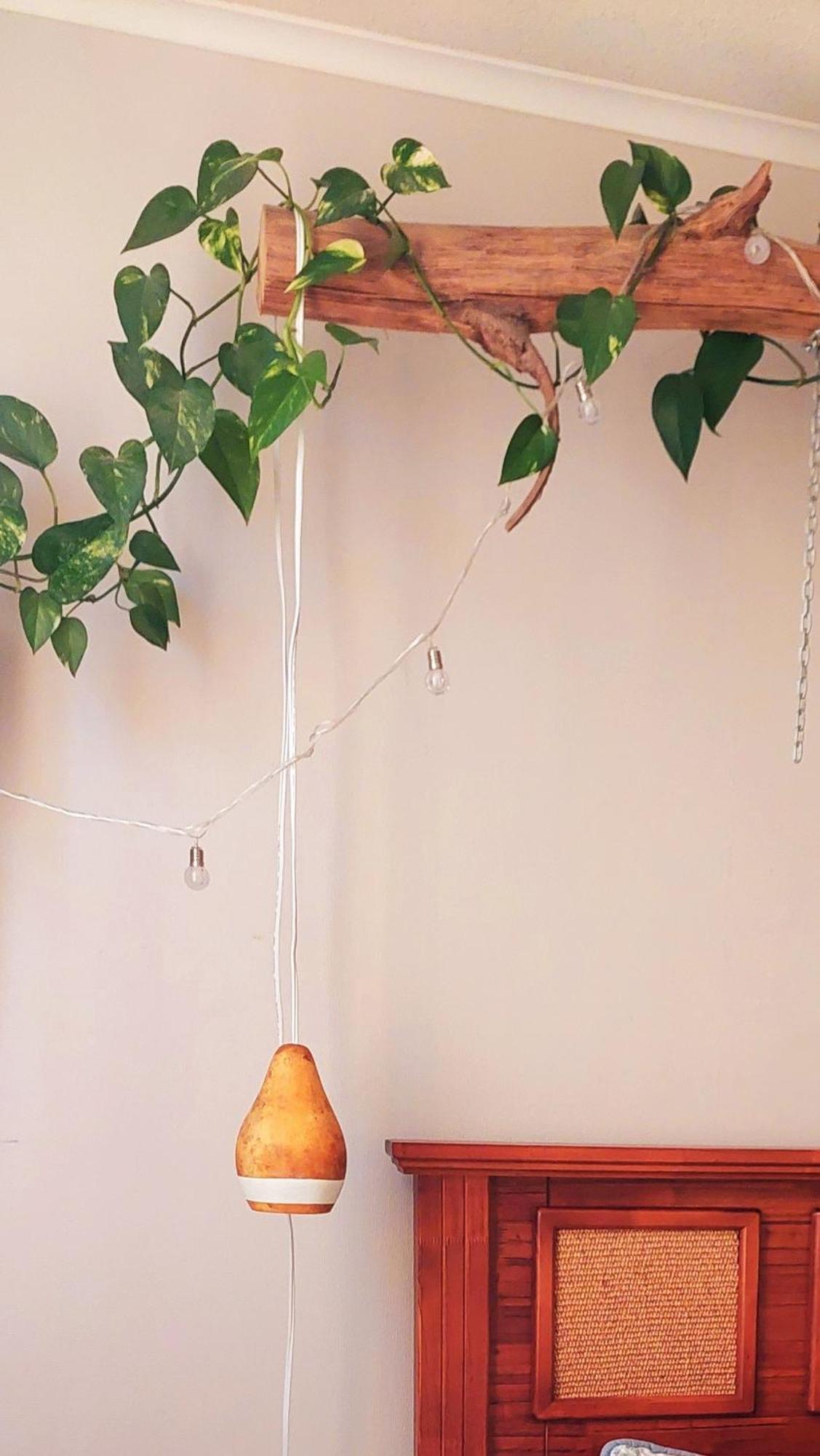 Casanativa Sur Diseno Boho Curico