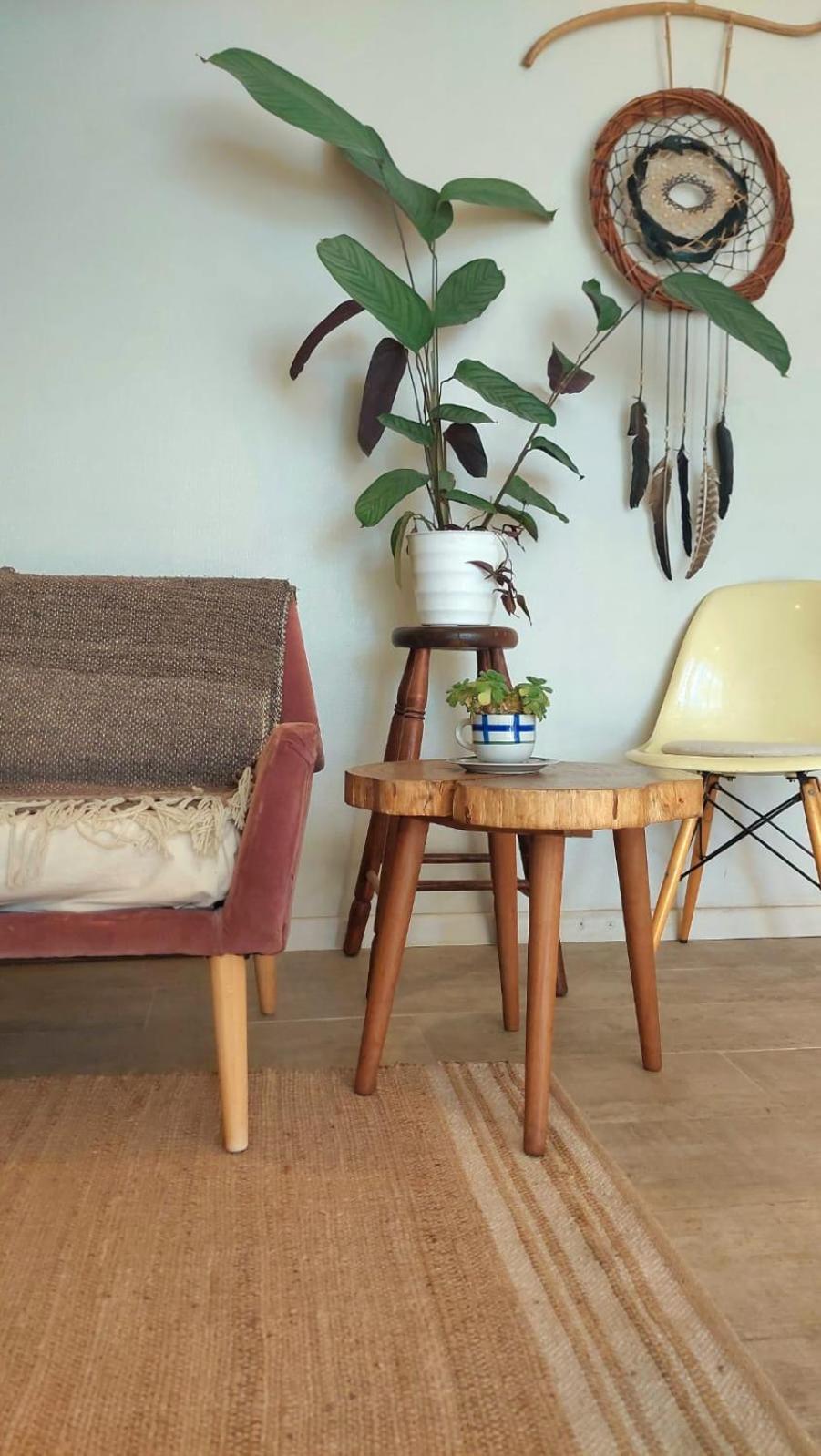 Casanativa Sur Diseno Boho Curico