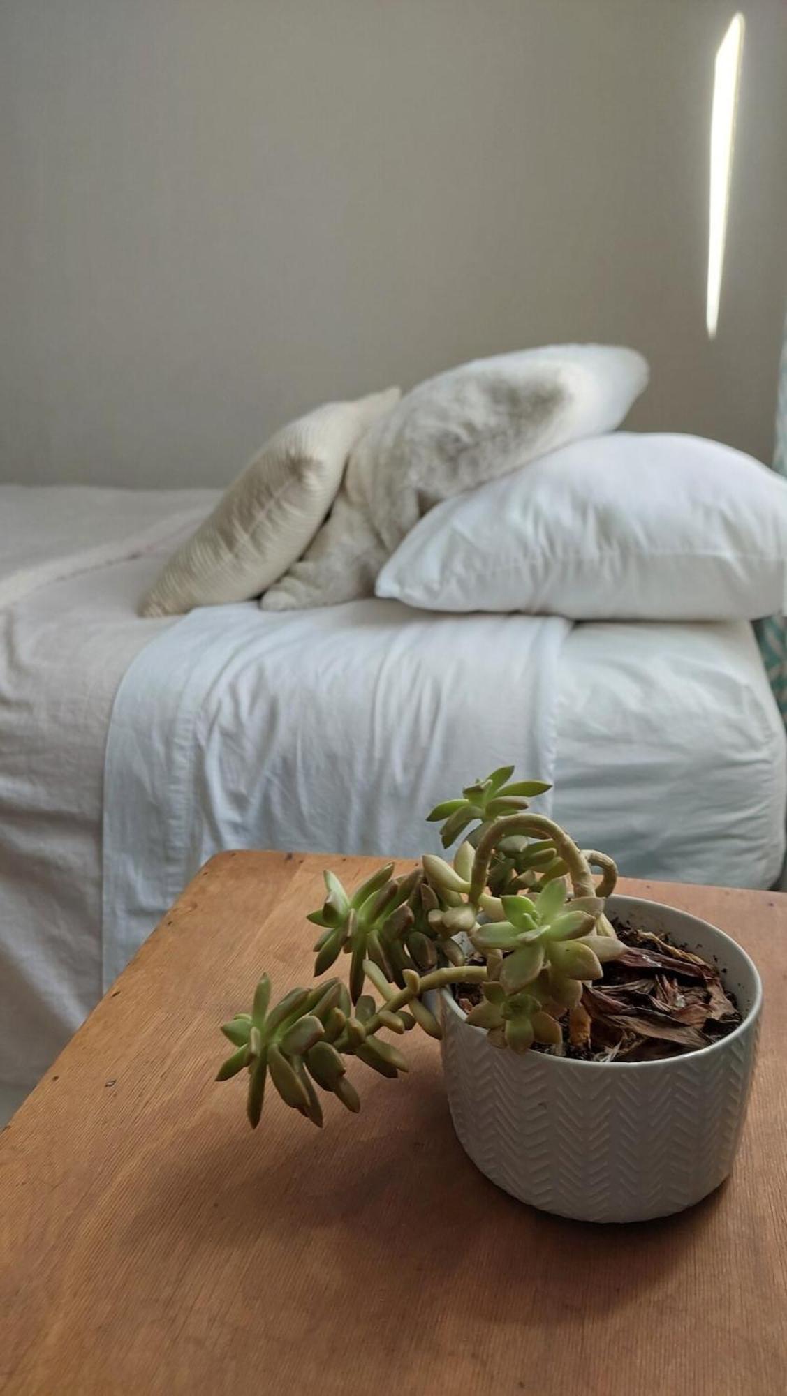 Casanativa Sur Diseno Boho * Curico